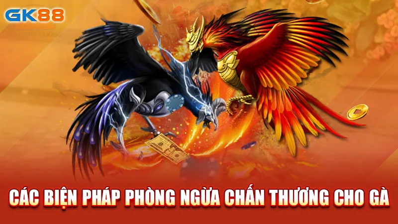 CAC-BIEN-PHAP-PHNG-NGUA-CHAN-THUONG-CHO-GA gk88_1_11zon