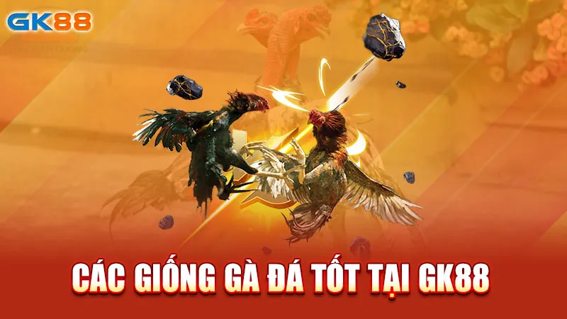 cac-giong-ga-da-tot-tại-gk88_1