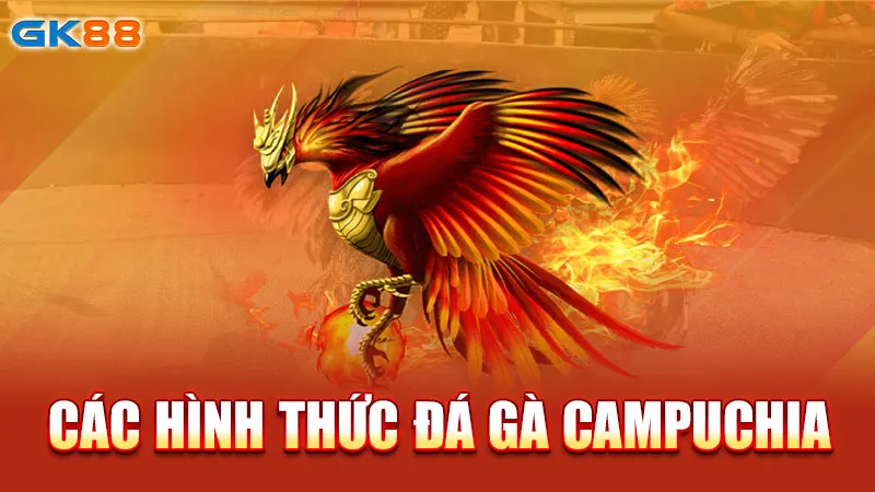 cac-hinh-thuc-da-ga-campuchia_1_11zon