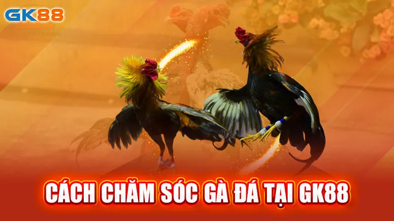 cach-cham-soc-ga-da-tai-gk88_3_11zon