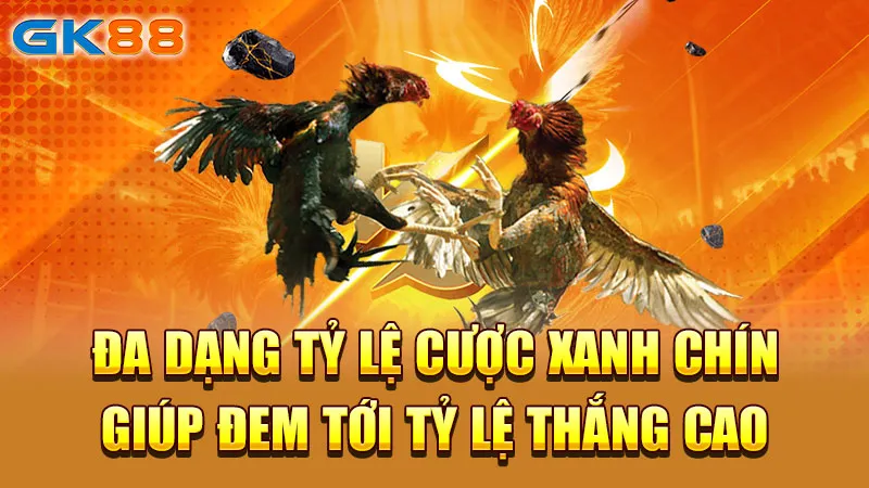 da-dang-ty-le-cuoc-xanh-chin-giup-den-lai-ty-le-thang-cao-gk88_2_11zon