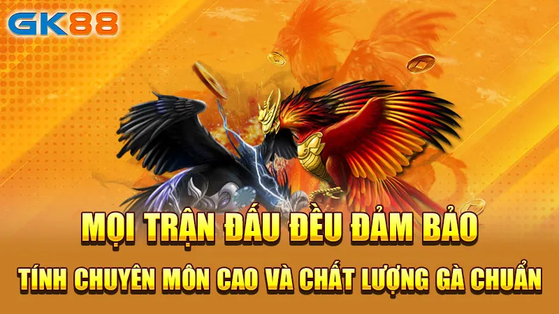 moi-tran-dau-deu-dam-bao-tinh-chuyen-mon-cao-va-chat-luong-ga-chuan_5_11zon