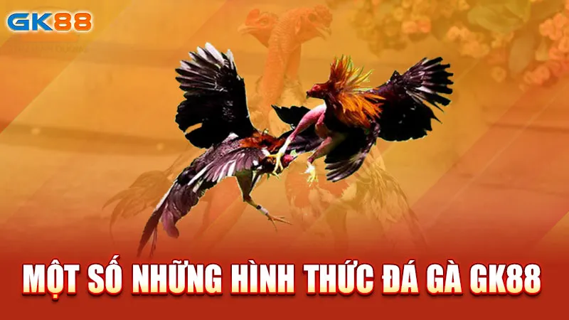 mot-so-hinh-thuc-da-ga-gk88_4_11zon