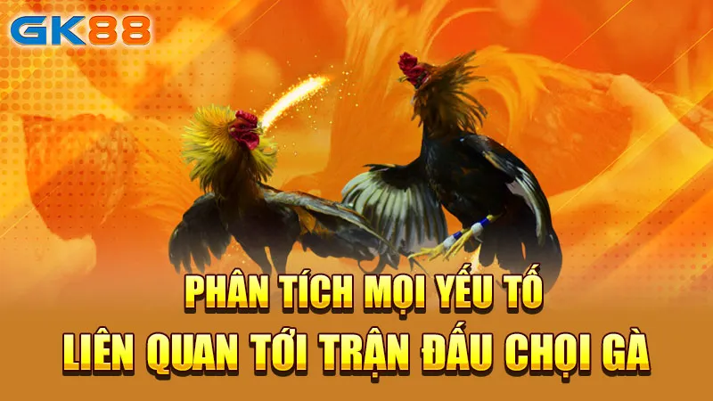 phan-tich-moi-yeu-to-lien-quan-toi-tran-dau-choi-ga-gk88_2_11zon