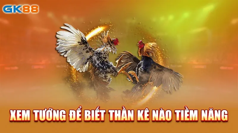 xem-tuong-de-biet-than-ke-nao-tiem-nang-gk88_4_11zon