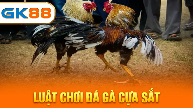 luat-choi-da-ga-cua-sat-gk88 2