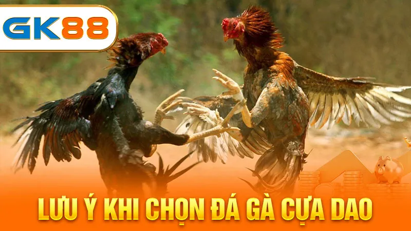luu-y-khi-chon-da-ga-cua-dao-gk88