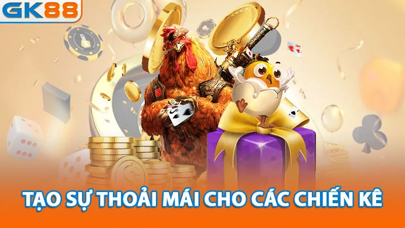 tao-su-thoai-mai-cho-cac-chien-ke_11zon