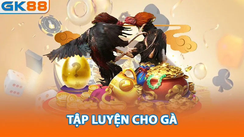 tap-luyen-cho-ga_11zon